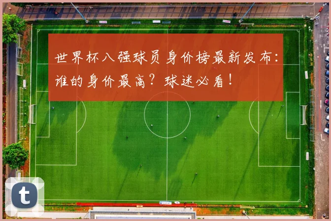 世界杯八强球员身价榜最新发布：谁的身价最高？球迷必看！